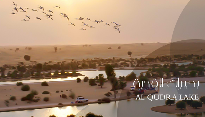 التخييم في بحيرات القدرة دبي
