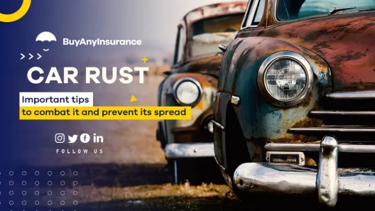 Ways I can use to rust proof my car