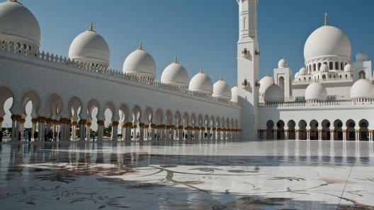 البطاقة البرتقالية
