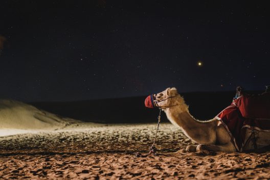 الضمان الصحي