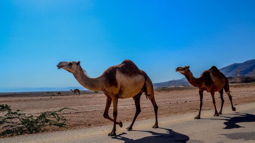 صلالة عمان