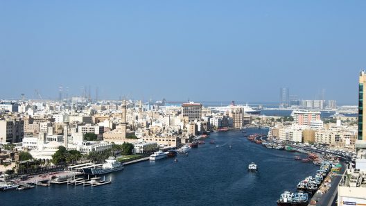 استعلام عن قضية