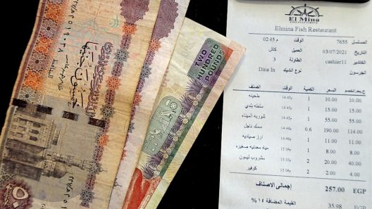 استعلام عن قضية