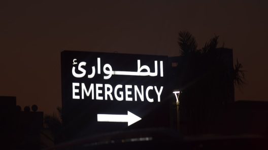 مطالبات التأمين