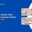 Check Your UAE driving license details