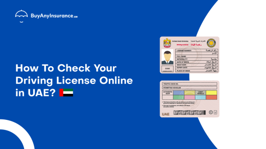 Check Your UAE driving license details