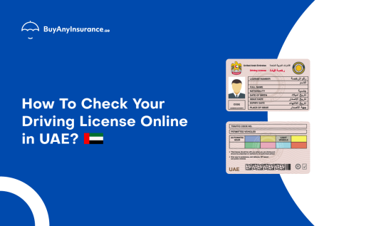 Check Your UAE driving license details