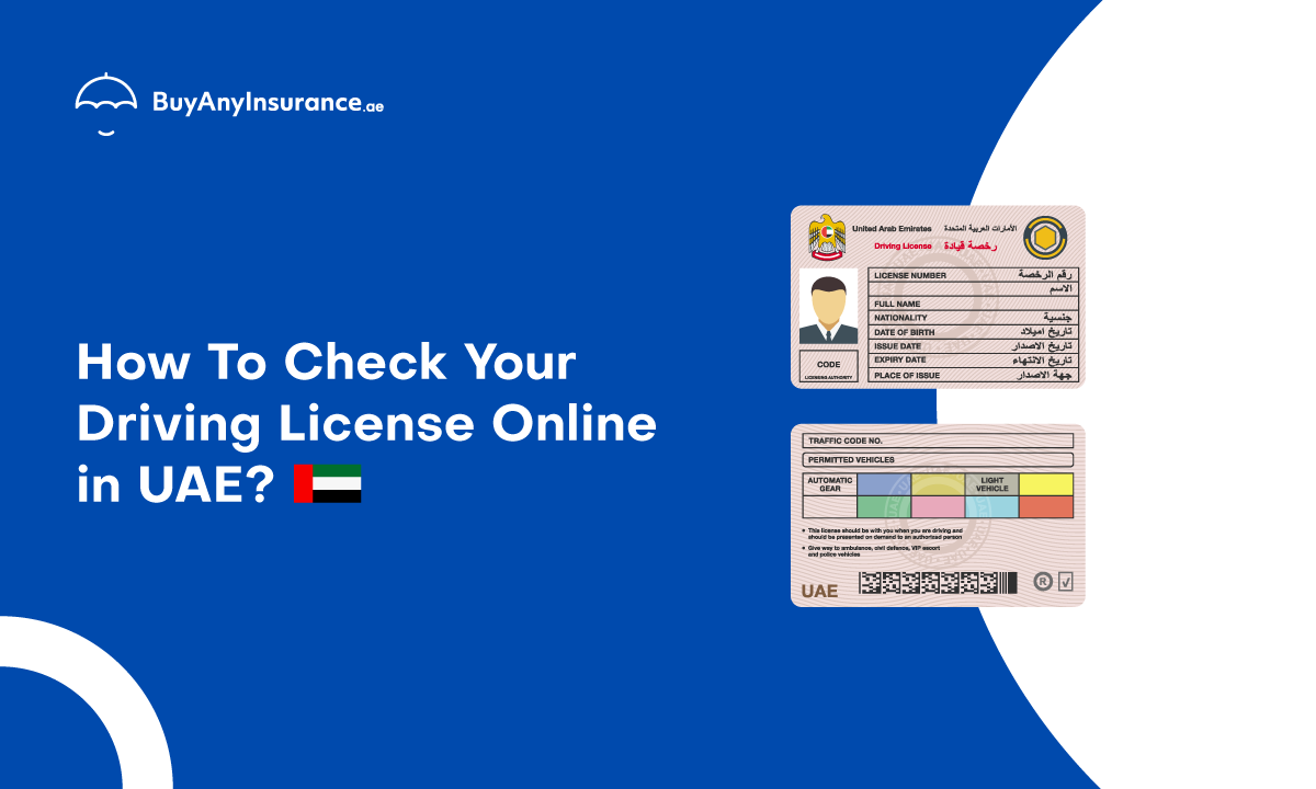Check Your UAE driving license details